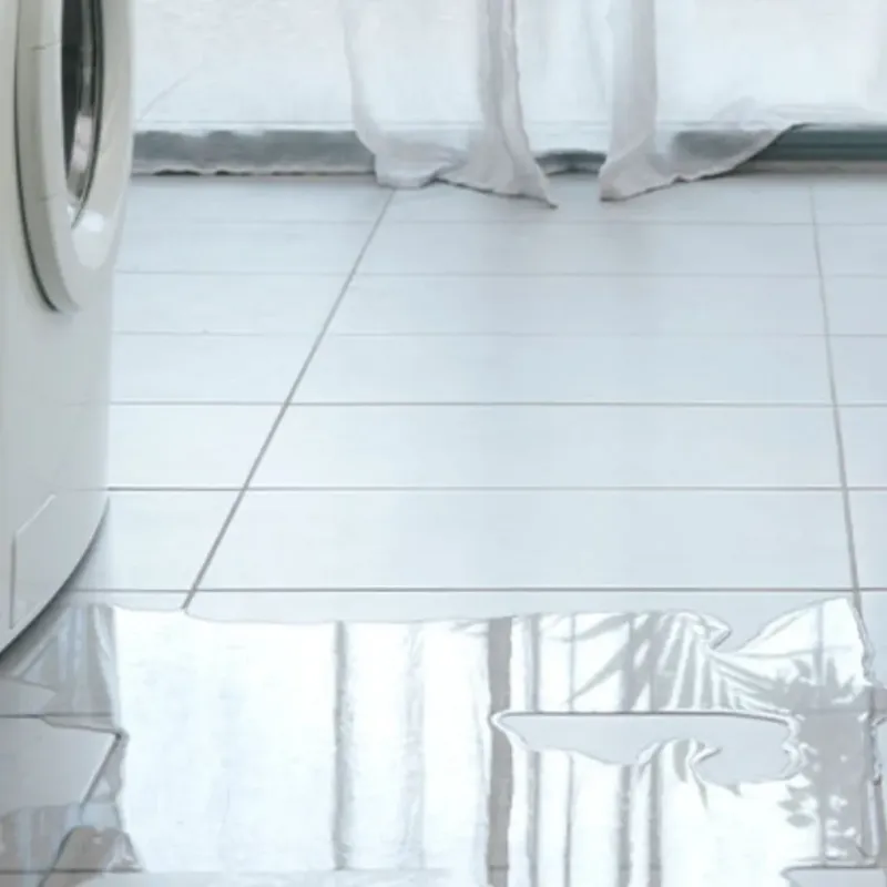 Appliance Leak Cleanup in Jenison, MI