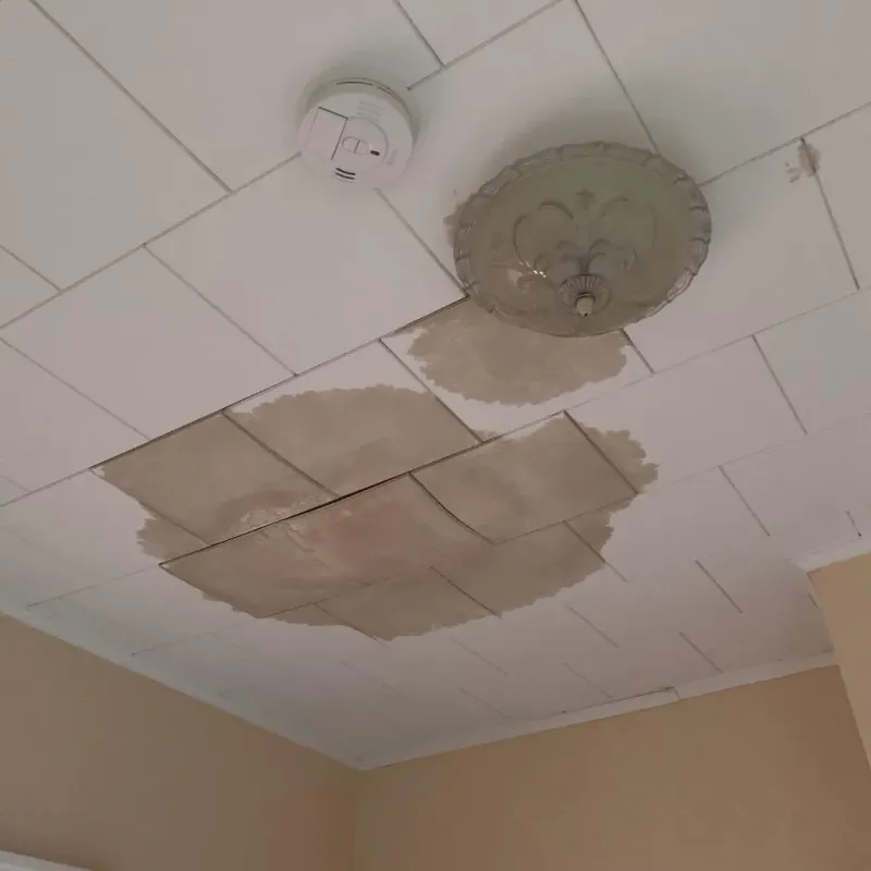 Ceiling Water Damage Repair in Jenison, MI