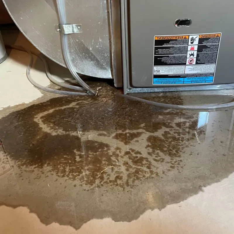 Pipe Burst and Leak Restoration in Jenison, MI